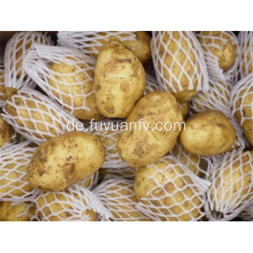 Hochwertige gute schmackhafte frische Kartoffel
